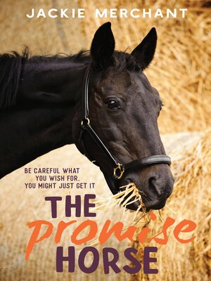 cover image of The Promise Horse